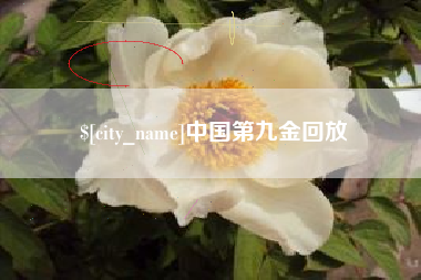 扬中中国第九金回放