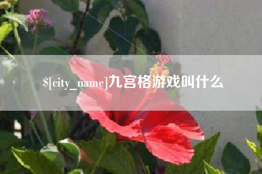扬中九宫格游戏叫什么