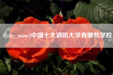 扬中中国十大消防大学有哪些学校