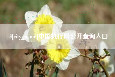 扬中中国执行网公开查询入口