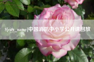 扬中中国消防中小学公开课回放