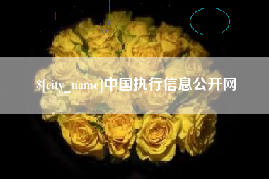 扬中中国执行信息公开网