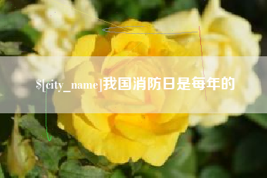 扬中我国消防日是每年的