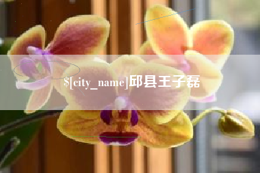 扬中邱县王子磊