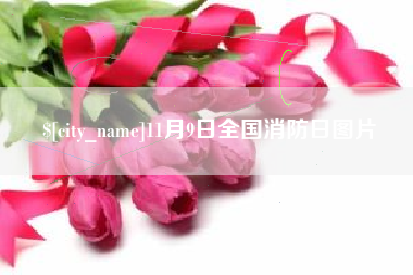 扬中11月9日全国消防日图片