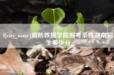 扬中消防救援学院报考条件湖南招生多少分