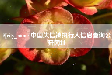扬中中国失信被执行人信息查询公开网址