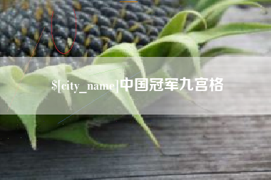 扬中中国冠军九宫格