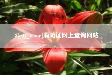 扬中消防证网上查询网站