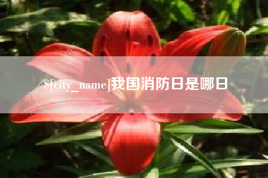 扬中我国消防日是哪日