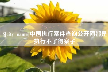 扬中中国执行案件查询公开网都是执行不了得案子