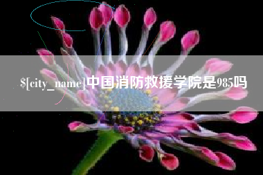 扬中中国消防救援学院是985吗