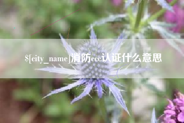 扬中消防ccc认证什么意思