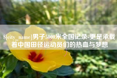 扬中男子5000米全国记录-更是承载着中国田径运动员们的热血与梦想