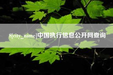 扬中中国执行信息公开网查询