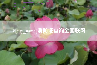 扬中消防证查询全国联网
