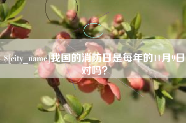 扬中我国的消防日是每年的11月9日对吗？