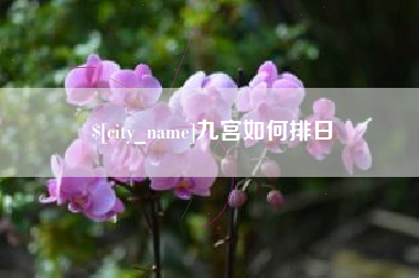 扬中九宫如何排日