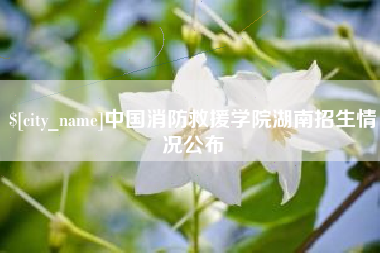 扬中中国消防救援学院湖南招生情况公布