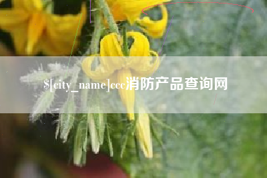 扬中ccc消防产品查询网