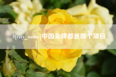 扬中中国金牌都是哪个项目