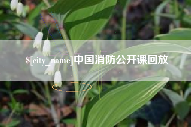 扬中中国消防公开课回放
