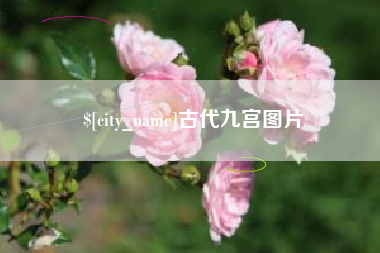扬中古代九宫图片