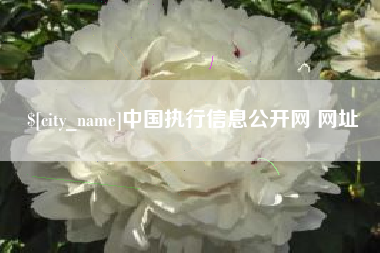 扬中中国执行信息公开网 网址