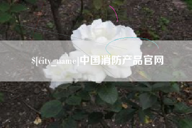 扬中中国消防产品官网