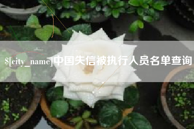 扬中中国失信被执行人员名单查询