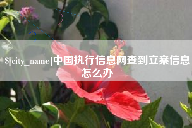 扬中中国执行信息网查到立案信息怎么办