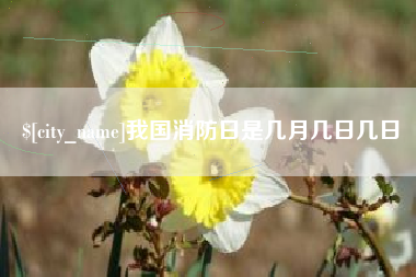 扬中我国消防日是几月几日几日