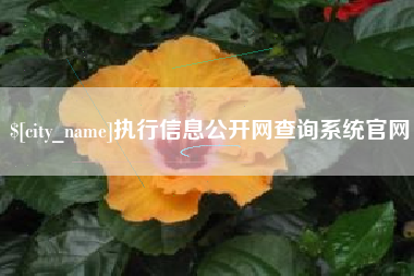 扬中执行信息公开网查询系统官网