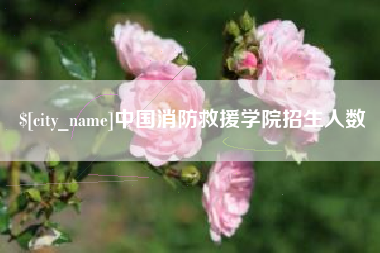 扬中中国消防救援学院招生人数