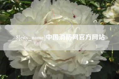 扬中中国消防网官方网站