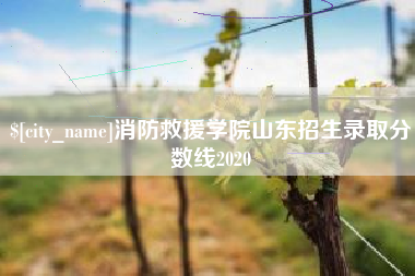 扬中消防救援学院山东招生录取分数线2020