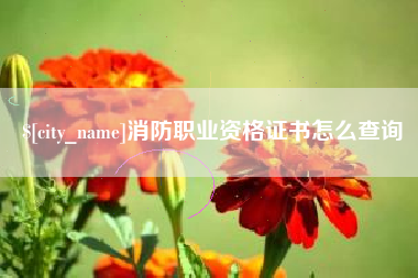 扬中消防职业资格证书怎么查询