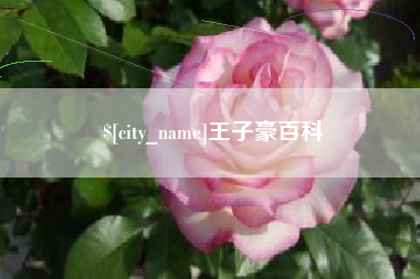 扬中王子豪百科
