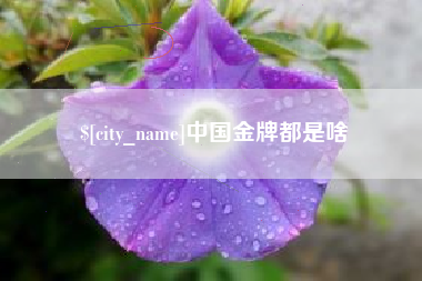 扬中中国金牌都是啥
