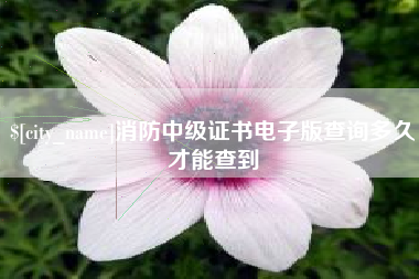 扬中消防中级证书电子版查询多久才能查到