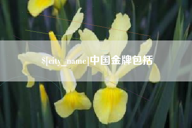 扬中中国金牌包括