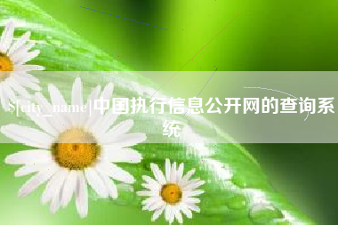 扬中中国执行信息公开网的查询系统