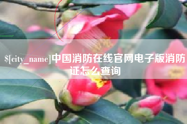 扬中中国消防在线官网电子版消防证怎么查询