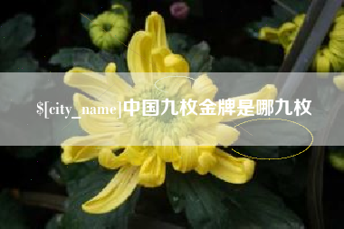 扬中中国九枚金牌是哪九枚