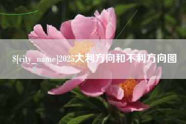 扬中2025大利方向和不利方向图
