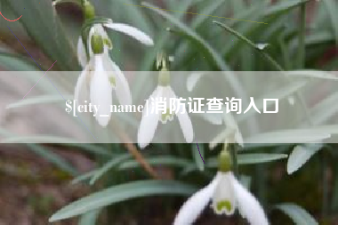 扬中消防证查询入口