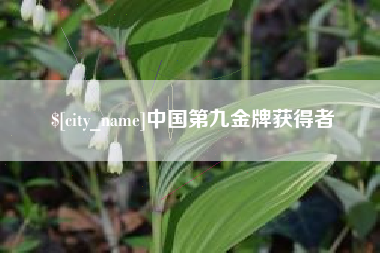 扬中中国第九金牌获得者