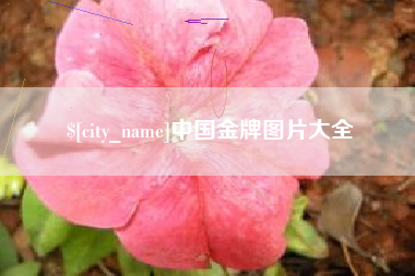 扬中中国金牌图片大全