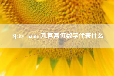 扬中九宫宫位数字代表什么
