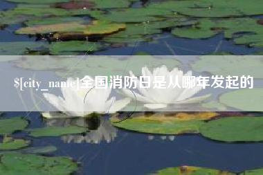 扬中全国消防日是从哪年发起的